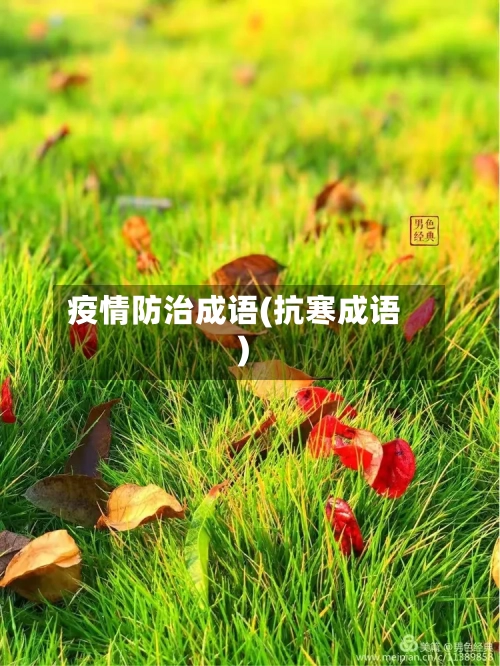 疫情防治成语(抗寒成语)