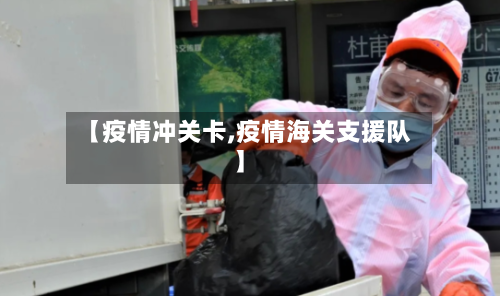 【疫情冲关卡,疫情海关支援队】-第3张图片