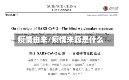 疫情由来/疫情来源是什么