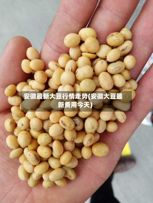 安徽最新大豆行情走势(安徽大豆最新费用今天)-第2张图片