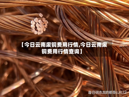 【今日云南废铜费用行情,今日云南废铜费用行情查询】