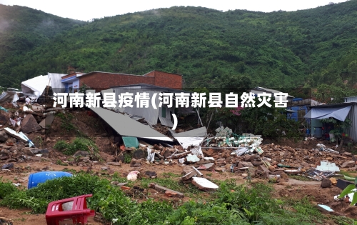 河南新县疫情(河南新县自然灾害)-第2张图片