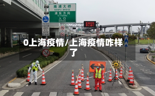 0上海疫情/上海疫情咋样了