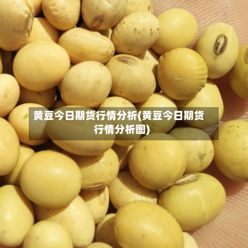黄豆今日期货行情分析(黄豆今日期货行情分析图)