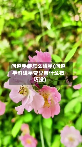 问道手游怎么蹲星(问道手游蹲星变异有什么技巧没)