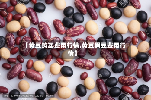 【黄豆购买费用行情,黄豆黑豆费用行情】