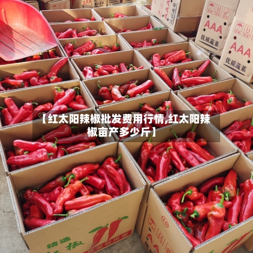 【红太阳辣椒批发费用行情,红太阳辣椒亩产多少斤】-第2张图片