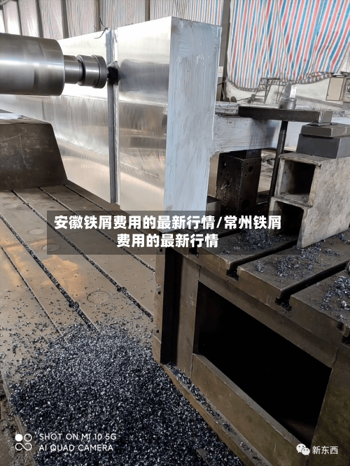 安徽铁屑费用的最新行情/常州铁屑费用的最新行情