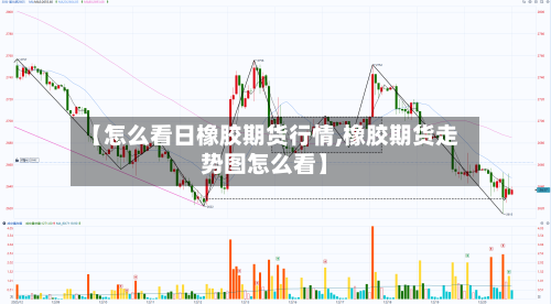 【怎么看日橡胶期货行情,橡胶期货走势图怎么看】-第2张图片