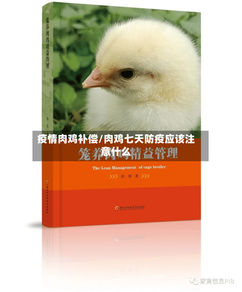 疫情肉鸡补偿/肉鸡七天防疫应该注意什么-第2张图片