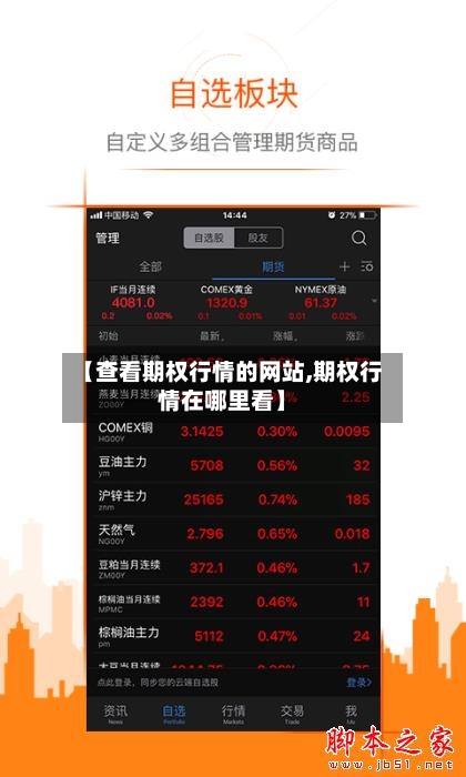 【查看期权行情的网站,期权行情在哪里看】-第2张图片