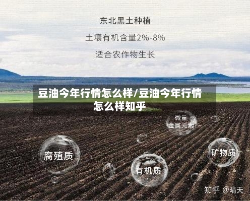 豆油今年行情怎么样/豆油今年行情怎么样知乎-第3张图片