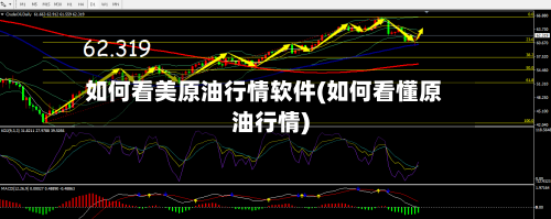 如何看美原油行情软件(如何看懂原油行情)