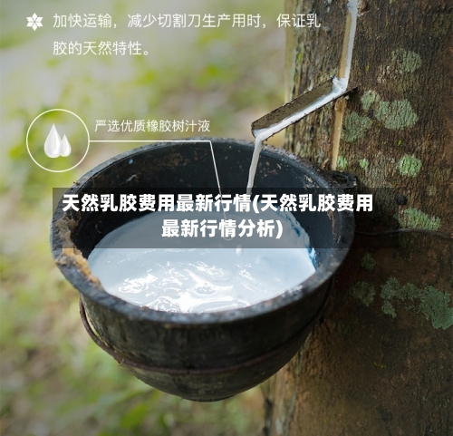 天然乳胶费用最新行情(天然乳胶费用最新行情分析)-第3张图片