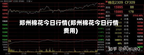 郑州棉花今日行情(郑州棉花今日行情费用)