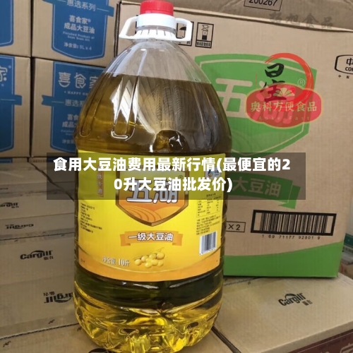 食用大豆油费用最新行情(最便宜的20升大豆油批发价)-第3张图片