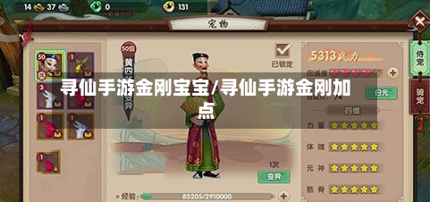 寻仙手游金刚宝宝/寻仙手游金刚加点