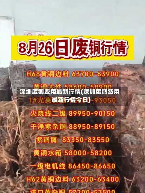 深圳废铜费用最新行情(深圳废铜费用最新行情今日)-第3张图片