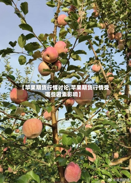 【苹果期货行情讨论,苹果期货行情受哪些因素影响】