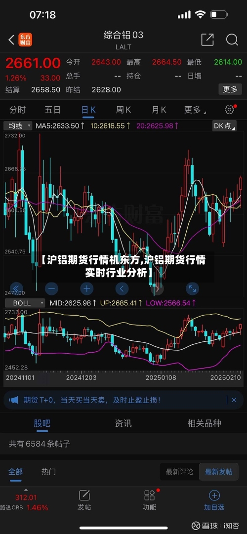 【沪铝期货行情机东方,沪铝期货行情实时行业分析】-第3张图片