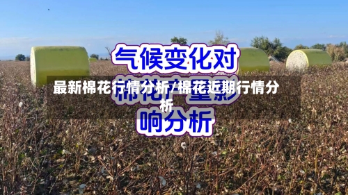 最新棉花行情分析/棉花近期行情分析-第2张图片