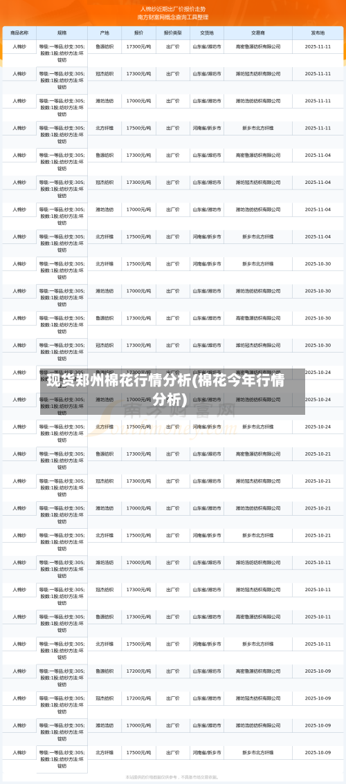 现货郑州棉花行情分析(棉花今年行情分析)