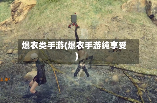 爆衣类手游(爆衣手游纯享受)-第2张图片