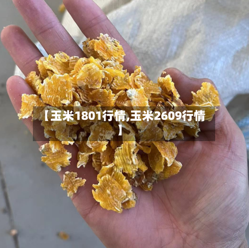 【玉米1801行情,玉米2609行情】