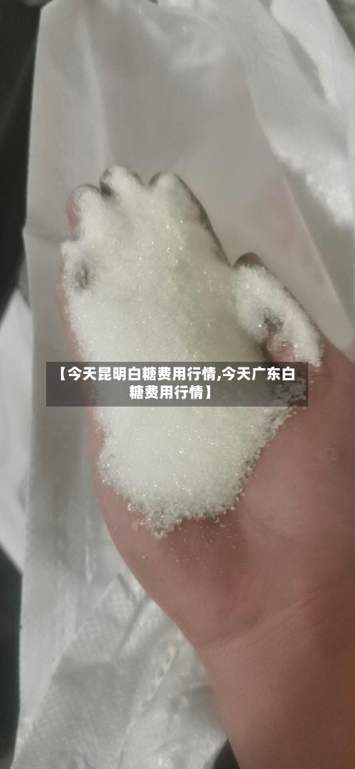 【今天昆明白糖费用行情,今天广东白糖费用行情】-第2张图片