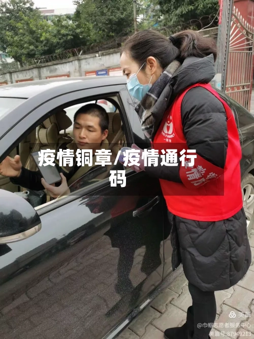 疫情铜章/疫情通行码-第3张图片