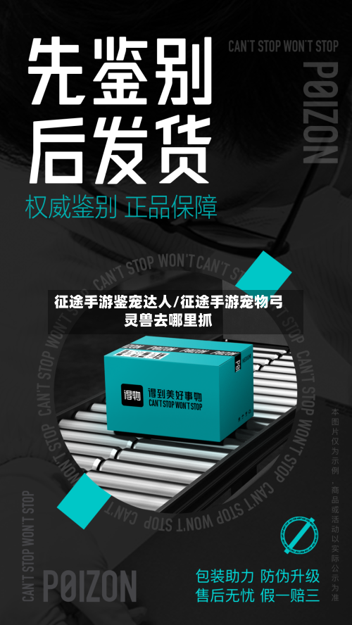 征途手游鉴宠达人/征途手游宠物弓灵兽去哪里抓-第2张图片