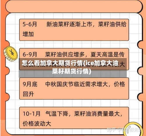 怎么看加拿大期货行情(ice加拿大油菜籽期货行情)-第2张图片