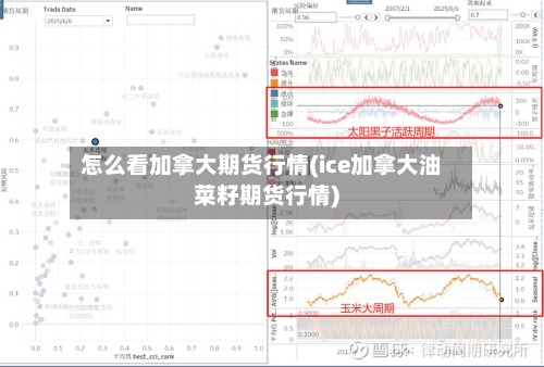 怎么看加拿大期货行情(ice加拿大油菜籽期货行情)