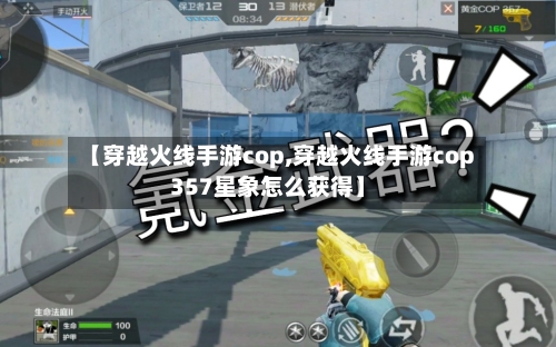【穿越火线手游cop,穿越火线手游cop357星象怎么获得】-第3张图片