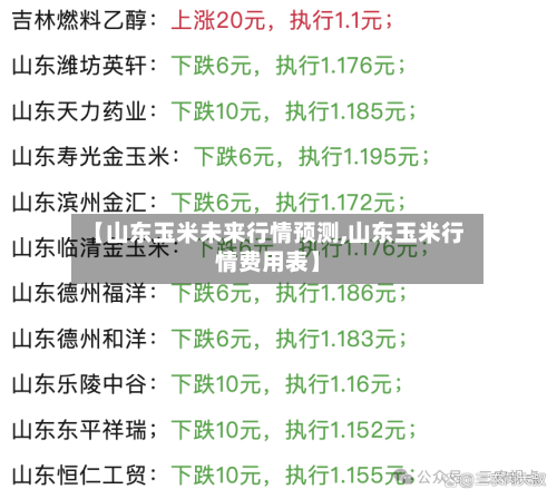 【山东玉米未来行情预测,山东玉米行情费用表】