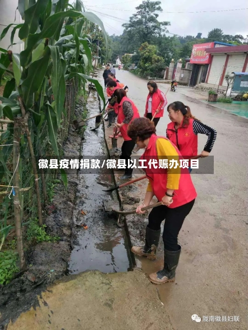 徽县疫情捐款/徽县以工代赈办项目