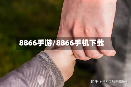 8866手游/8866手机下载