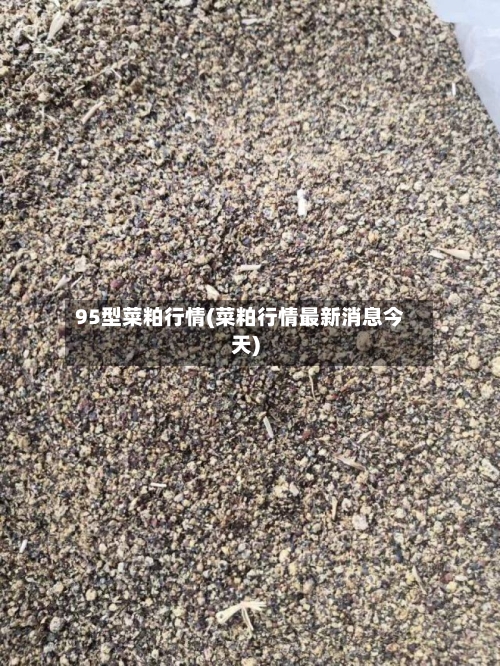 95型菜粕行情(菜粕行情最新消息今天)-第3张图片