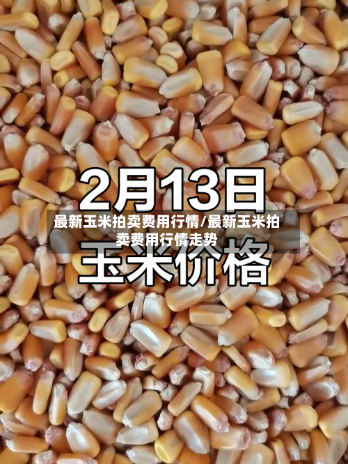 最新玉米拍卖费用行情/最新玉米拍卖费用行情走势