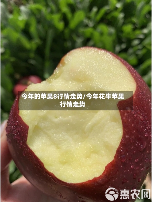 今年的苹果8行情走势/今年花牛苹果行情走势-第3张图片