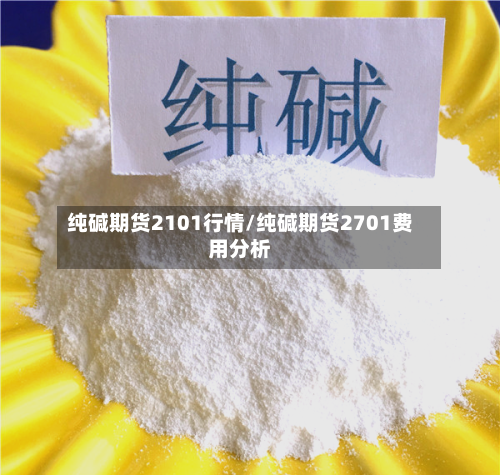 纯碱期货2101行情/纯碱期货2701费用分析