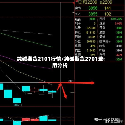 纯碱期货2101行情/纯碱期货2701费用分析-第2张图片