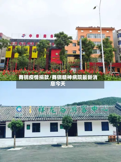 舞钢疫情捐款/舞钢精神病院最新消息今天