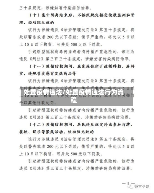 处置疫情违法/处置疫情违法行为流程