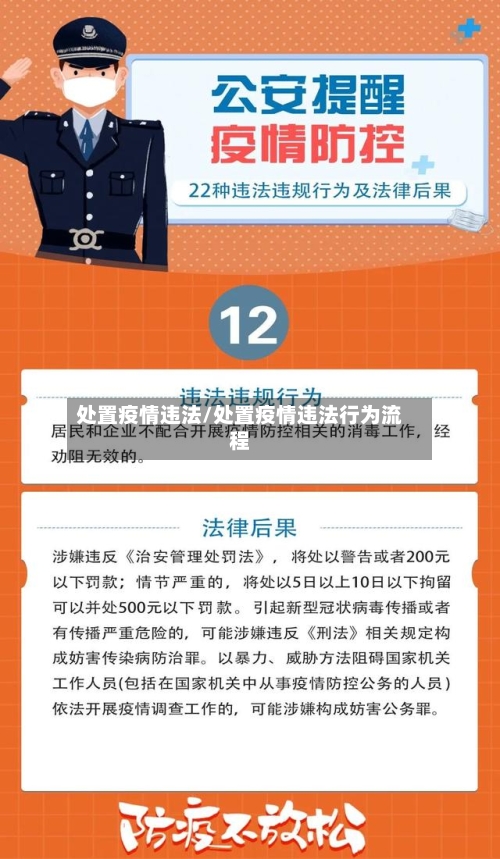 处置疫情违法/处置疫情违法行为流程-第2张图片