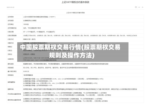 中国股票期权交易行情(股票期权交易规则及操作方法)-第2张图片