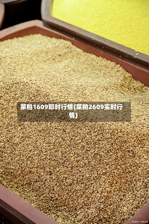菜粕1609即时行情(菜粕2609实时行情)-第2张图片