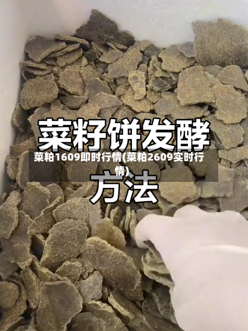 菜粕1609即时行情(菜粕2609实时行情)