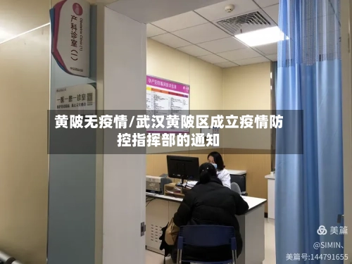 黄陂无疫情/武汉黄陂区成立疫情防控指挥部的通知