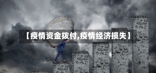 【疫情资金拨付,疫情经济损失】
